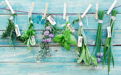 UN MIC SECRET PENTRU A IMPLEMENTA CU SUCCES DIETA IMUPRO