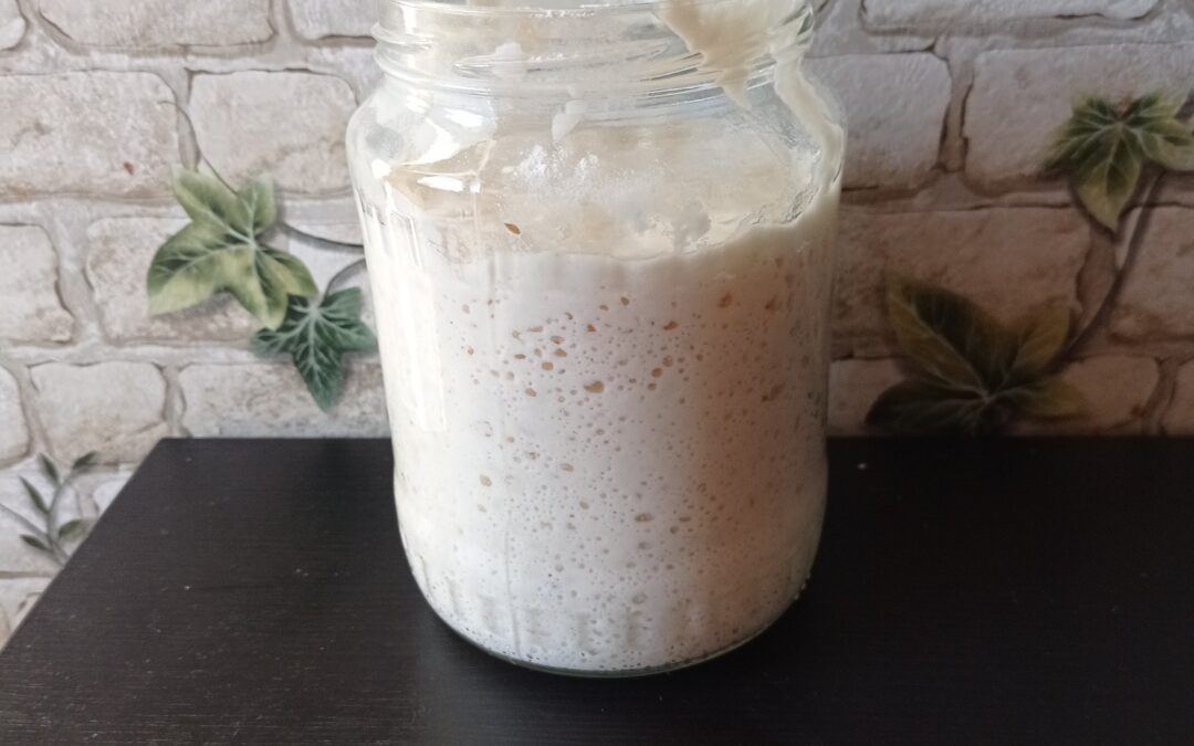 Rețetă de maia pentru pâine fără gluten
