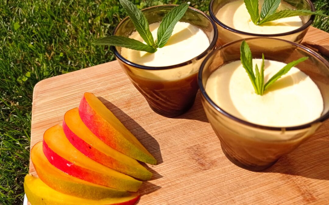 Mousse de fructe fără lactate. Dieta ImuPro