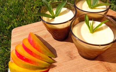 Mousse de fructe fără lactate. Dieta ImuPro