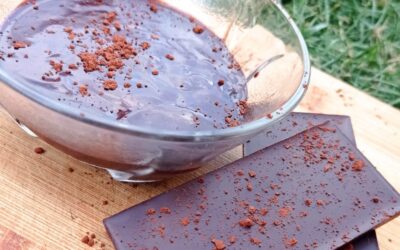 Ciocolată de casă fără lactate. DIETA IMUPRO