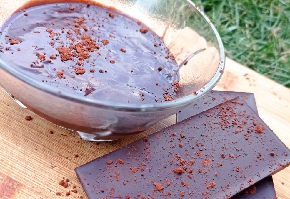Ciocolată de casă fără lactate. DIETA IMUPRO